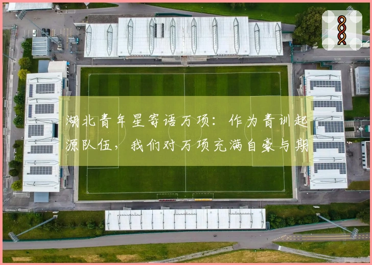 湖北青年星寄语万项：作为青训起源队伍，我们对万项充满自豪与期待